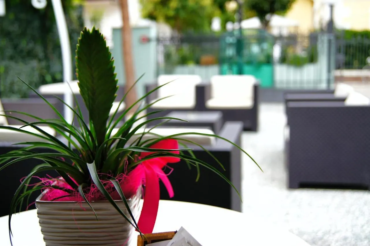 Hotel Arethusa Prestige Риччоне